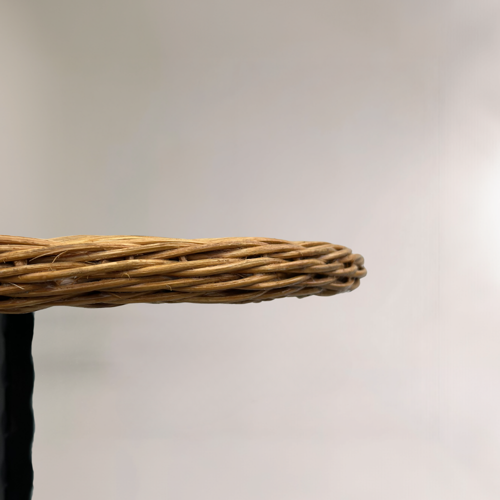 Tressé Rattan Örgülü Demir Oval Sehpa