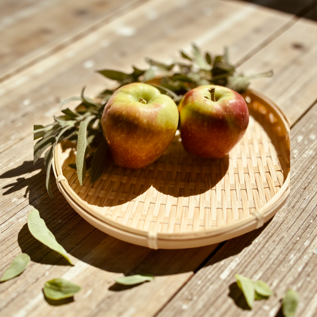 Pampas Bambu Sunumluk - Lo-Fi House