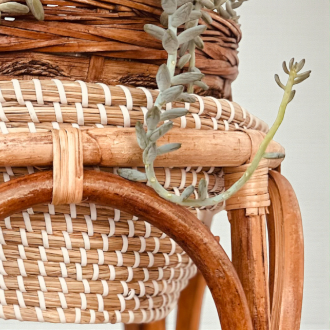 Sable Fat Doğal Rattan Saksılık
